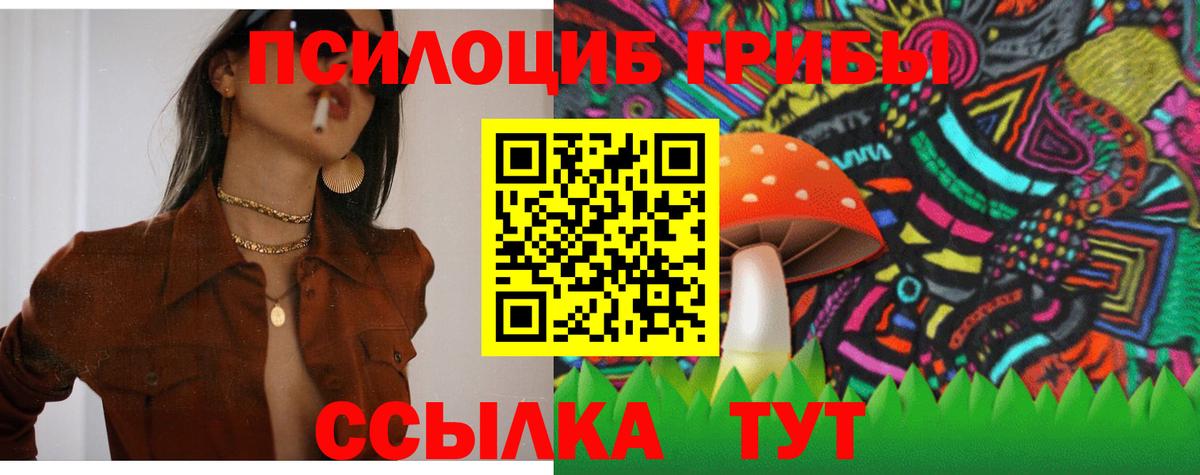 Галлюциногенные грибы мухоморы  Псилоцибиновые грибы Psilocybe  Вход с VPN  Новокубанск 