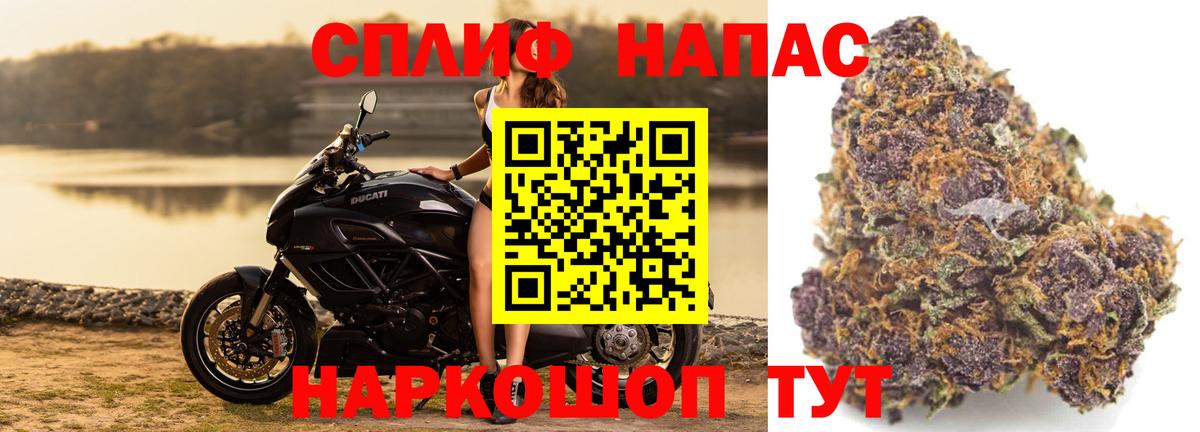 Канабис OG Kush Новокубанск